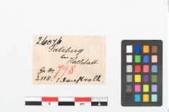 Etikett zu Bronzespiralröhrchen (NHMW-PRAE-026076)